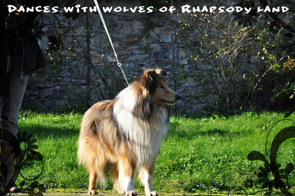 Dances with wolves Of rhapsody land