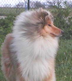 Thelma et louise Of rhapsody land