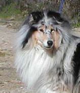 Regate Of rhapsody land